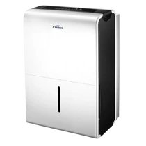 Fisher F-DRY301AE4 párátlanító 30l/nap